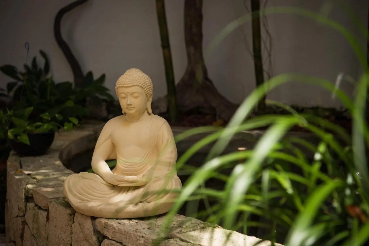 Ocean Zen Suites On 5Th Avenue - Adults Only Playa del Carmen Aparthotel